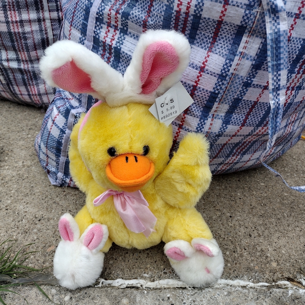 Soft duck in slippers